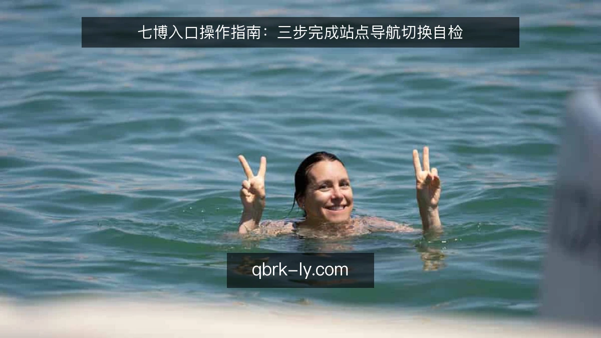七博入口操作指南:三步完成站点导航切换自检
