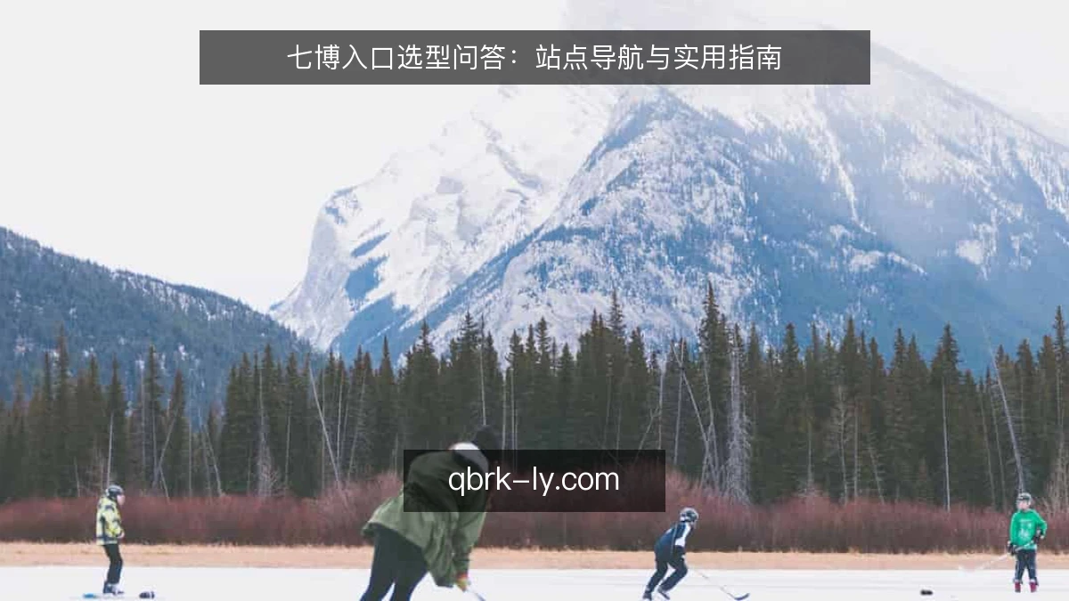 七博入口选型问答:站点导航与实用指南