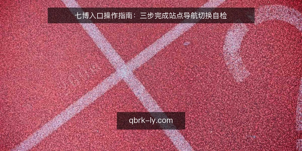 七博入口操作指南:三步完成站点导航切换自检 — 为什么现在要自检导航入口 配图