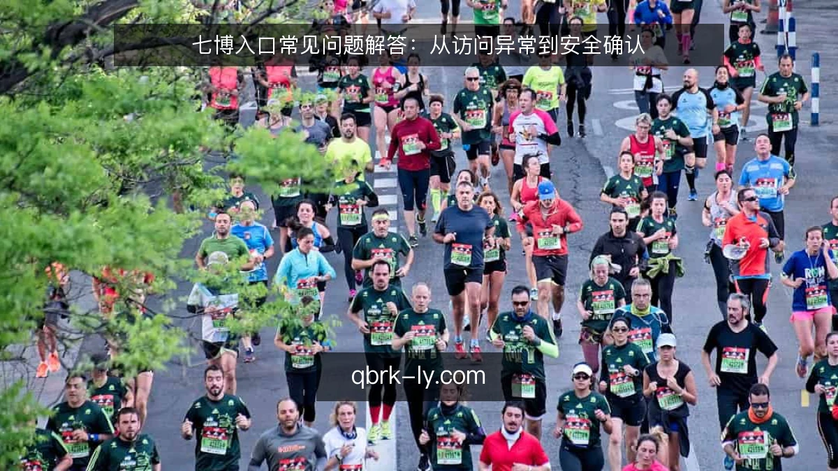 七博入口常见问题解答:从访问异常到安全确认