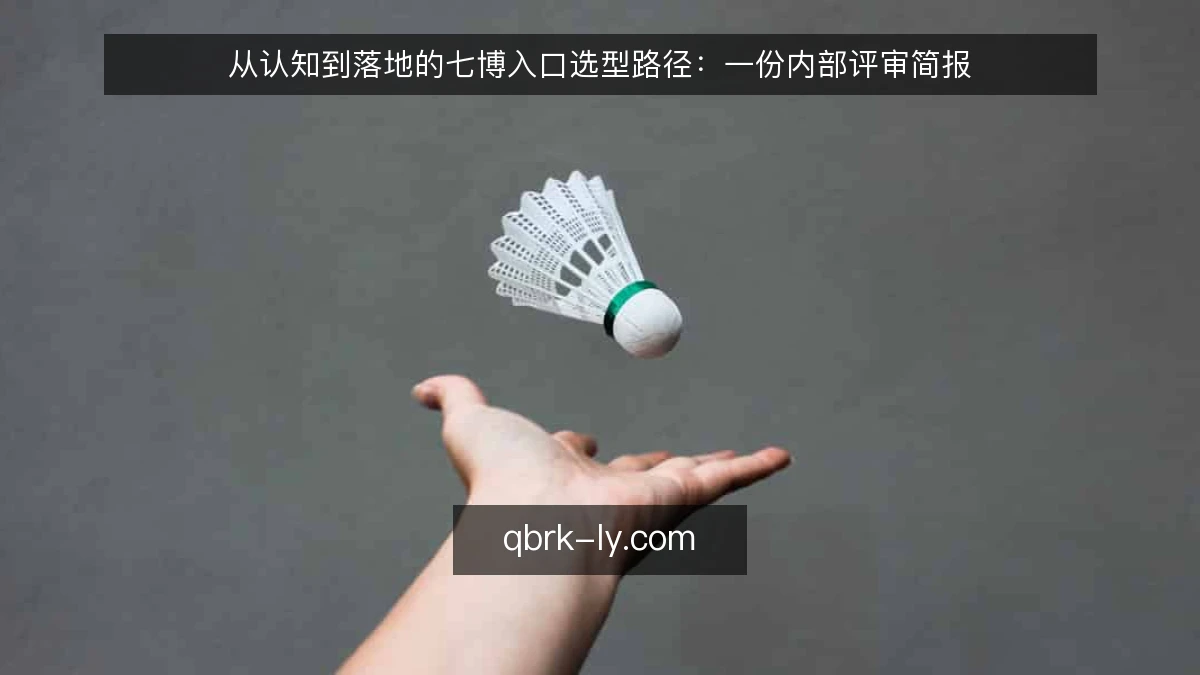 从认知到落地的七博入口选型路径：一份内部评审简报