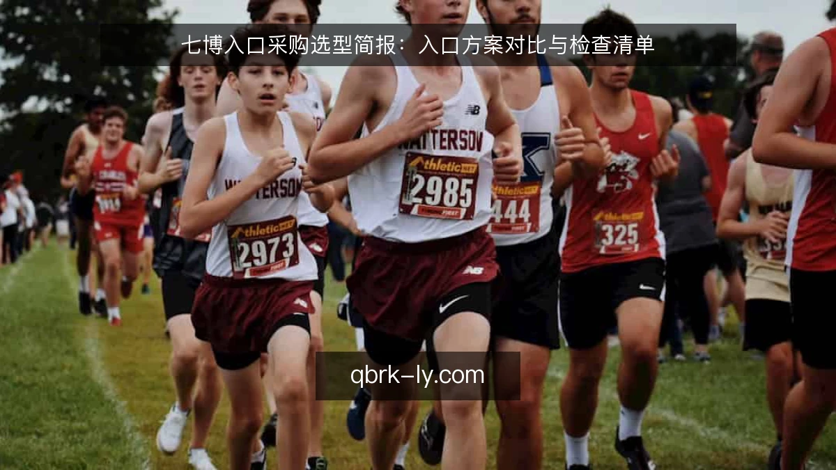 七博入口采购选型简报:入口方案对比与检查清单